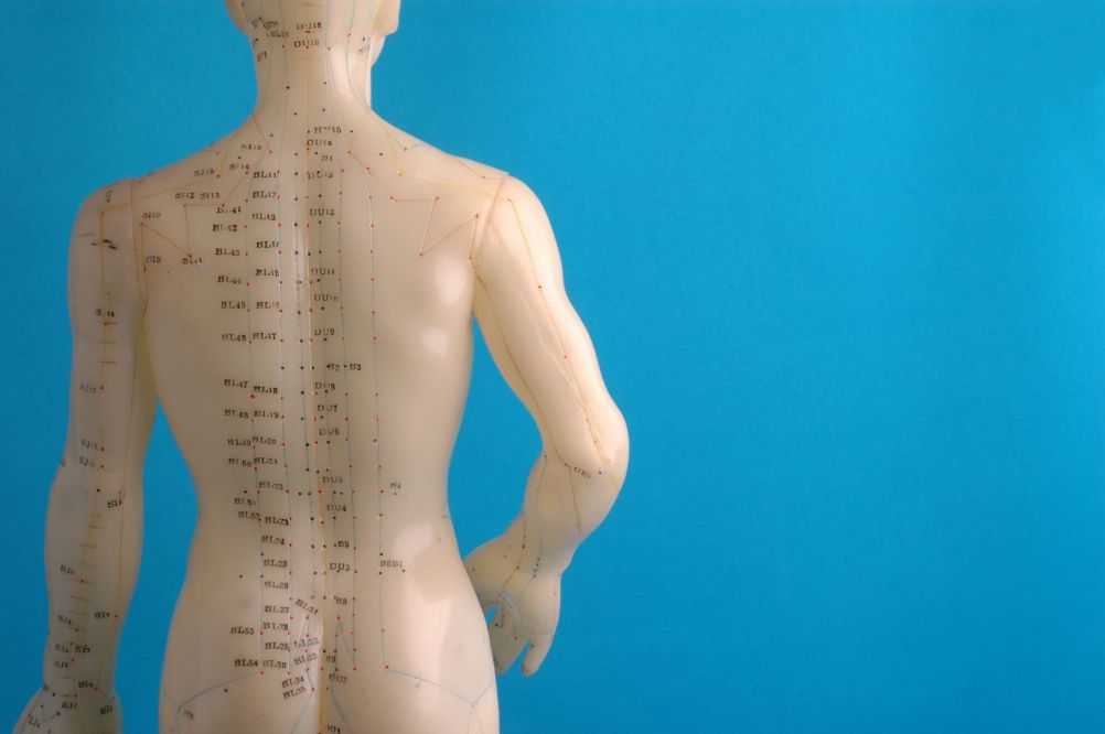 Acupuncture Original