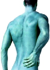 Back Pain Button for under the menu